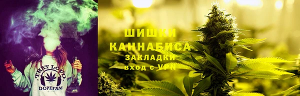 шишки Заводоуковск