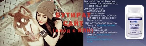 шишки Заводоуковск