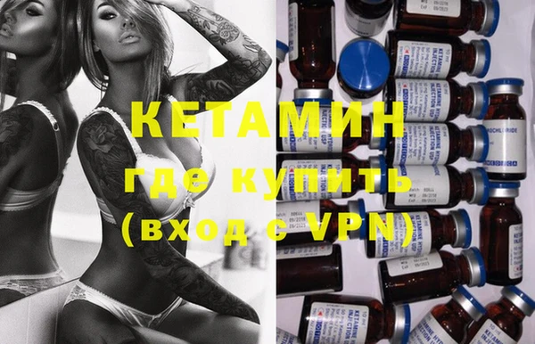 шишки Заводоуковск