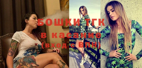 шишки Заводоуковск