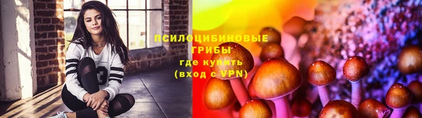 шишки Заводоуковск