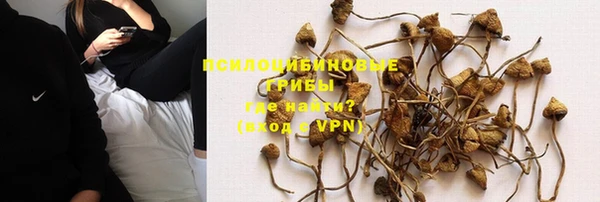 MESCALINE Заволжье