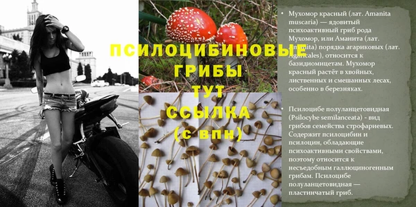 каннабис Заволжск