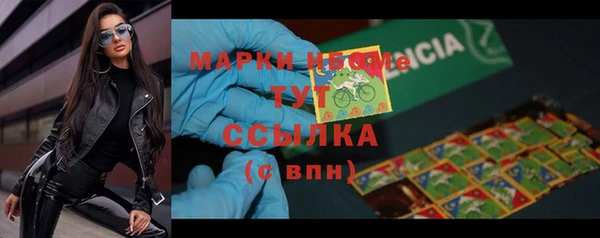 шишки Заводоуковск