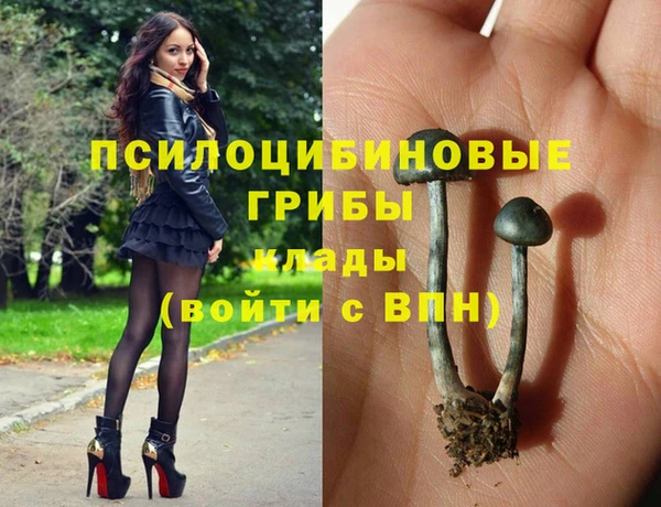 шишки Заводоуковск