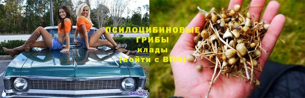 шишки Заводоуковск