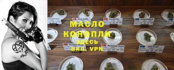шишки Заводоуковск