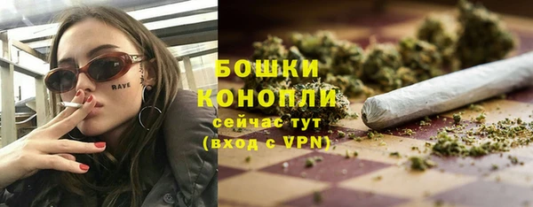 шишки Заводоуковск