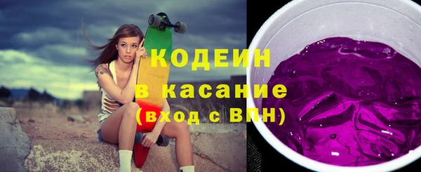 шишки Заводоуковск